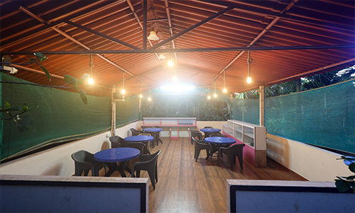 Nature View Homestay and Cottages