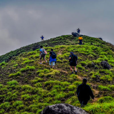 Nature View Homestay and Cottages